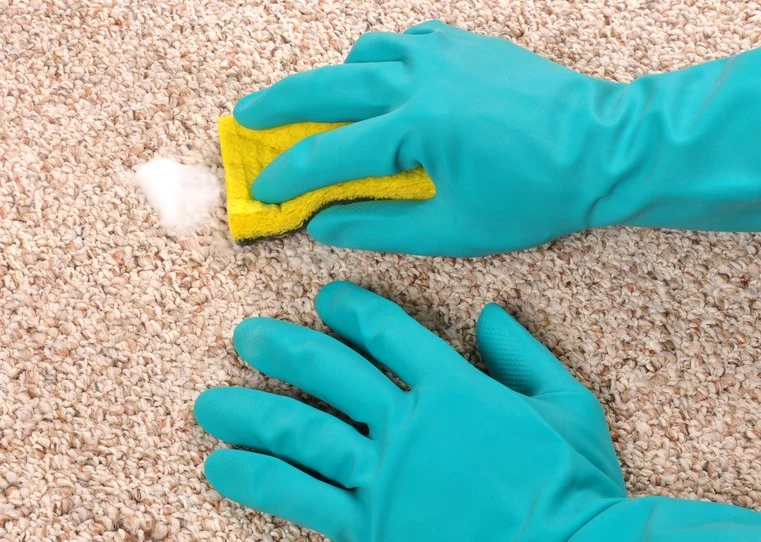 sposób na czysty dywan