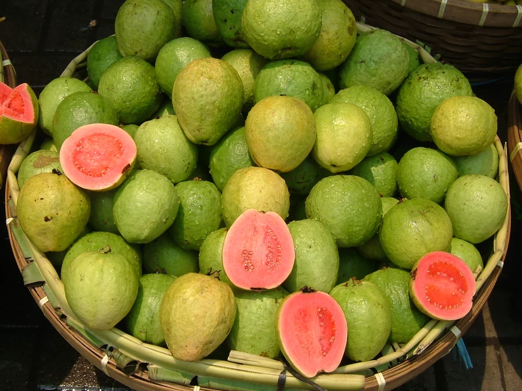 gujawa owoc