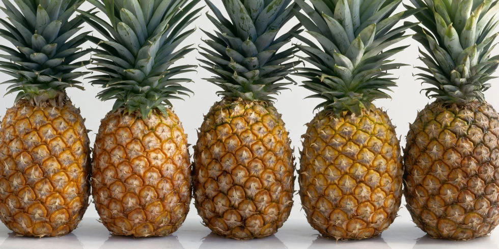 ananas właściwości