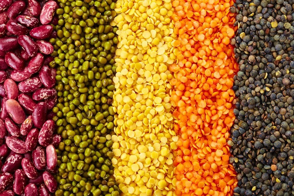 produkty białkowe produkty białkowe