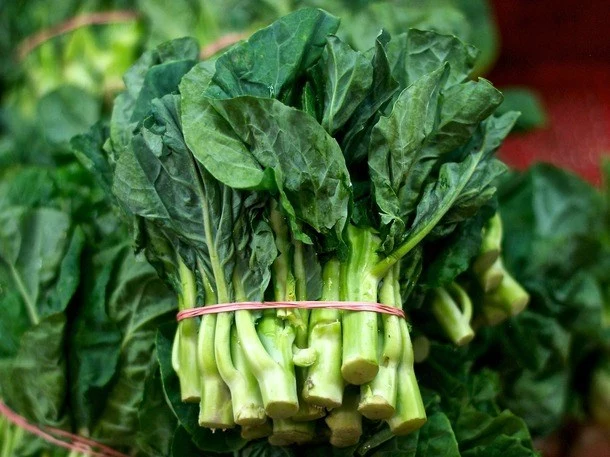 zielone warzywa zdrowie