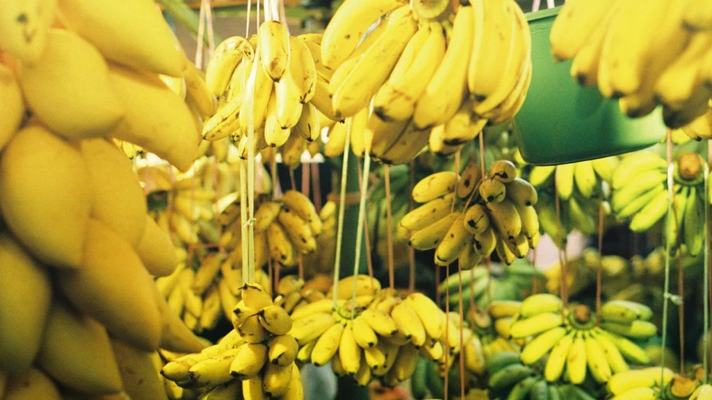 zalety bananów