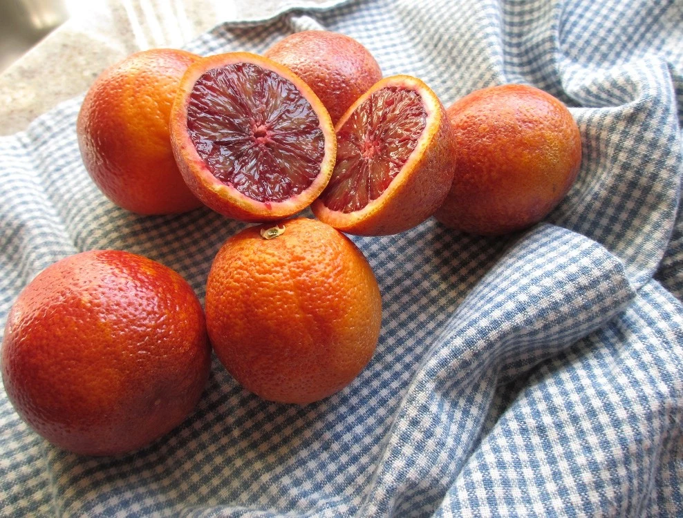 czerwone pomarańcze zalety