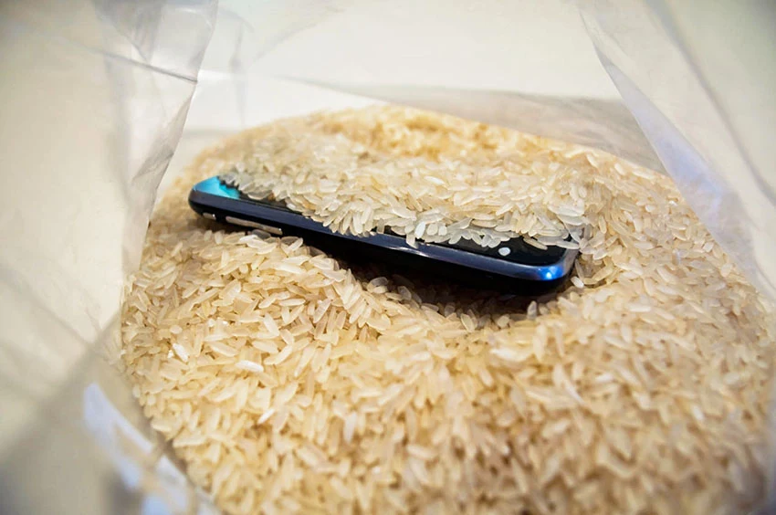 telefon w ryżu