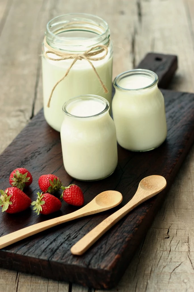 jogurt i właściwości