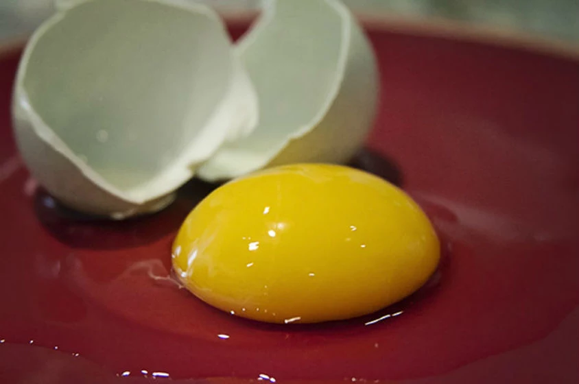 żółtko jajka