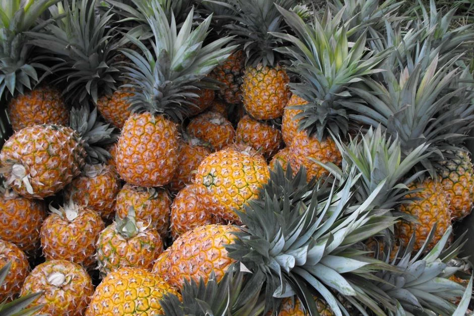 właściwości ananasa
