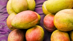 Niesamowite korzyści jedzenia mango