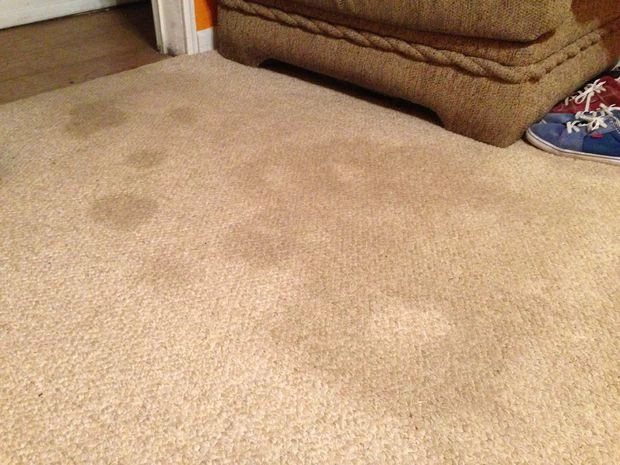 czyszczenie dywanu