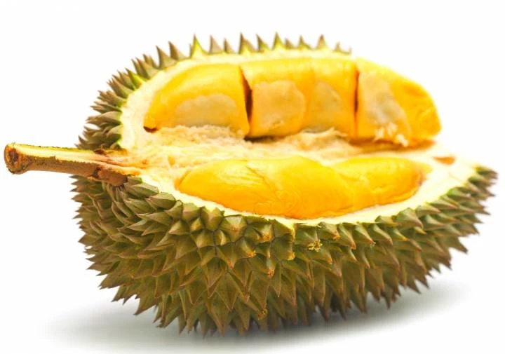 Owoc durian właściwości