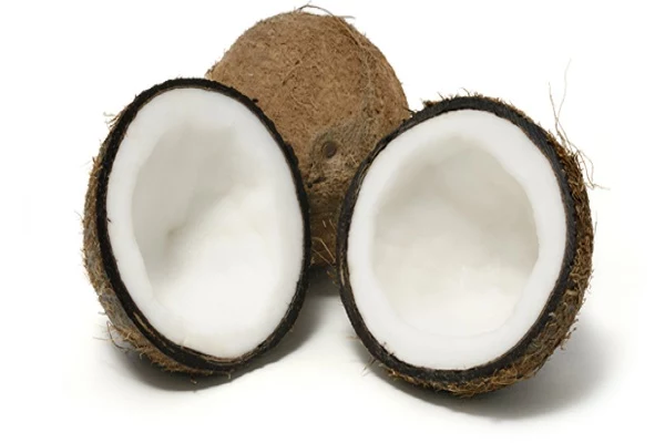 Drzewo kokosowe zastosowanie
