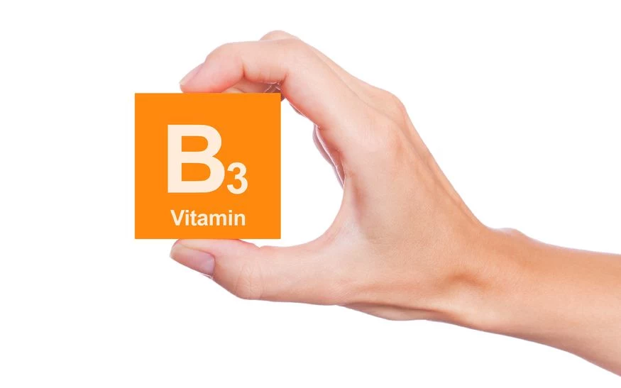 Kamut witamina B3