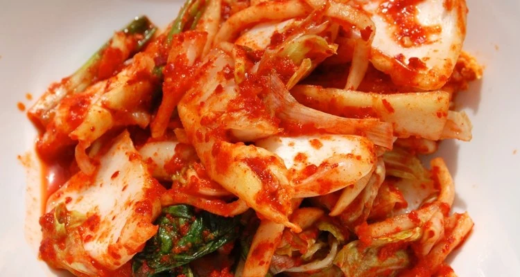 Kimchi właściwości probiotyczne