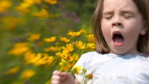 13 naturalnych sposobów na ulgę w objawach alergii