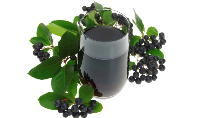 Aronia witaminy