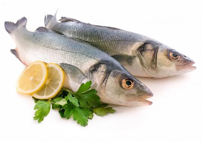 Tłuste ryby na diecie