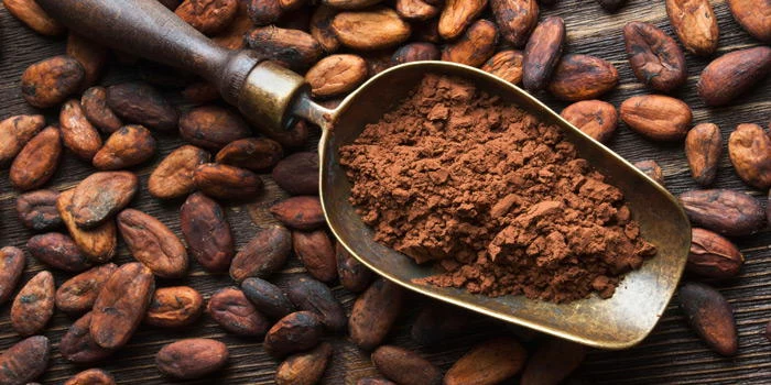 Kakao właściwości przeciwzapalne