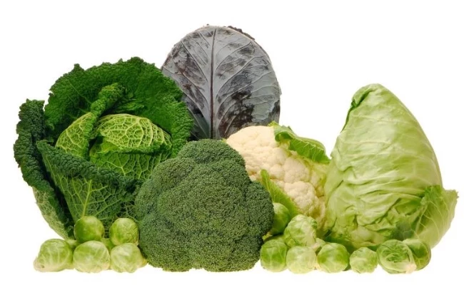 Zielone warzywa zdrowe odżywianie