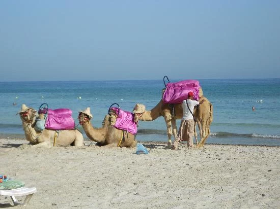 Djerba atrakcje turystyczne - 2