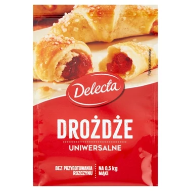 Delecta Drożdże uniwersalne 8 g - 1