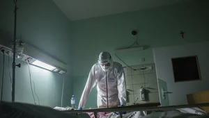 Fale epidemii mogą zależeć od pogody