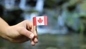 Dochód gwarantowany to prawie 600 tys. nowych miejsc pracy w Kanadzie