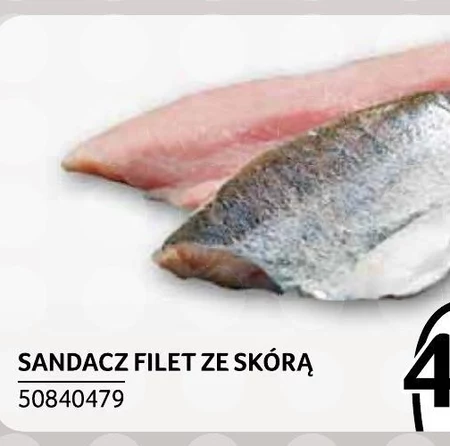 Sandacz