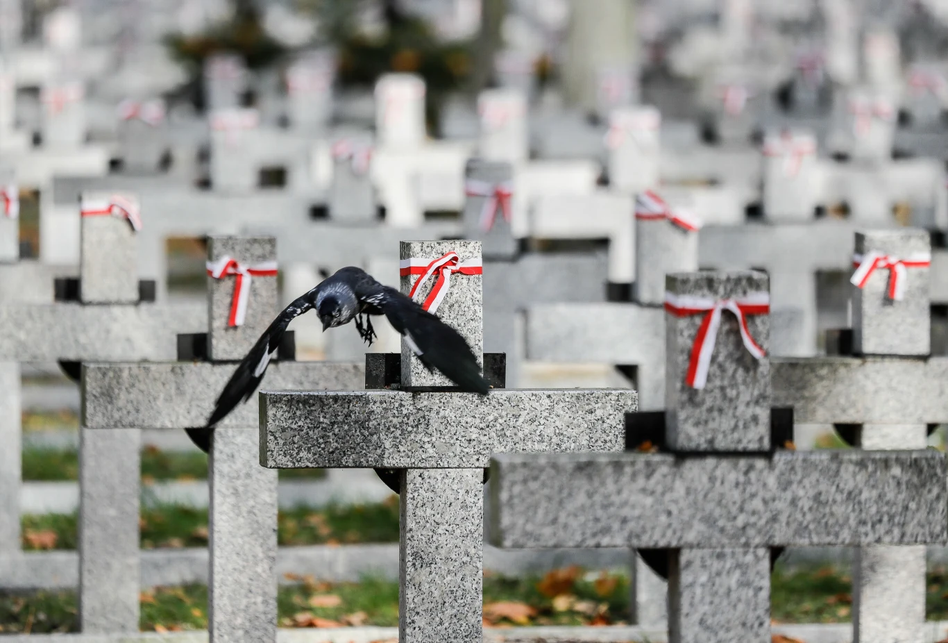 Warszawa, 29.10.2020. Powązki Wojskowe przed dniem Wszystkich Świętych