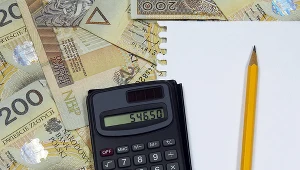 2021 rokiem mocnego złotego?