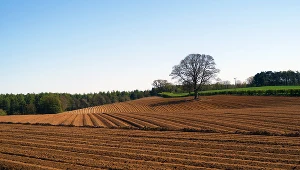Gmina za oddanie gruntu pod budowę mieszkań ma otrzymać w zamian od inwestora część lokali