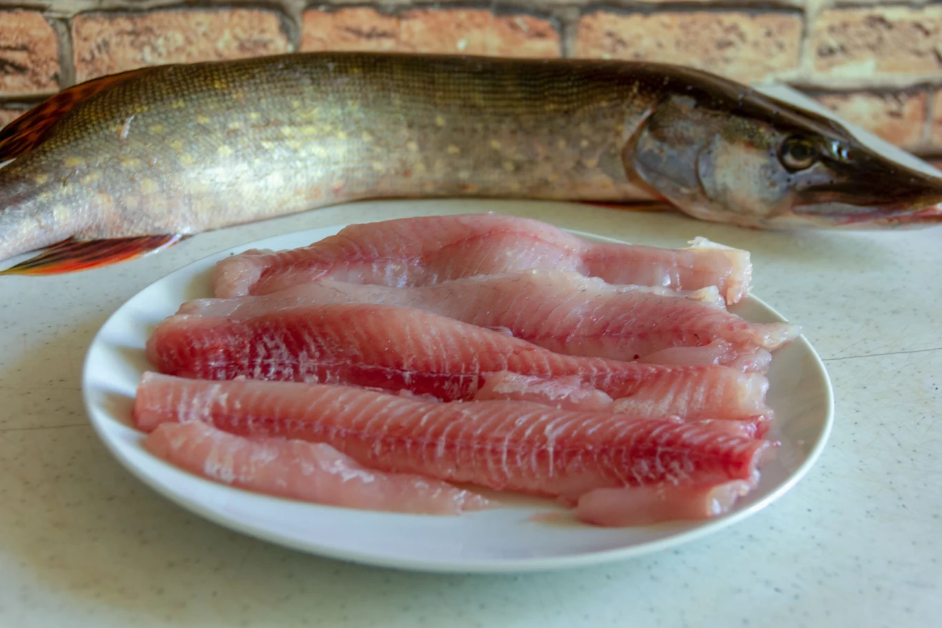 Sandacz należy do gatunku ryb chudych i również bardzo zdrowych. Zawiera kwasy tłuszczowe, które sprzyjają szybszej przemianie materii. Jest chętnie kupowany i lubiany ze względu na małą ilość ości. Regularnie spożywany sandacz może zmniejsza ryzyko wystąpienia nowotworów, korzystnie wpływa na układ odpornościowy oraz redukuje ryzyko arytmii serca. Selen, którego jest bogactwem spowalnia procesy starzenia i zapewnia prawidłowe funkcjonowanie narządów rozrodczych. Obfituje również w wapń i magnez. Podczas wigilii najlepiej smakował będzie sandacz pieczony, w galarecie, w warzywach lub w sosie śmietanowym.
