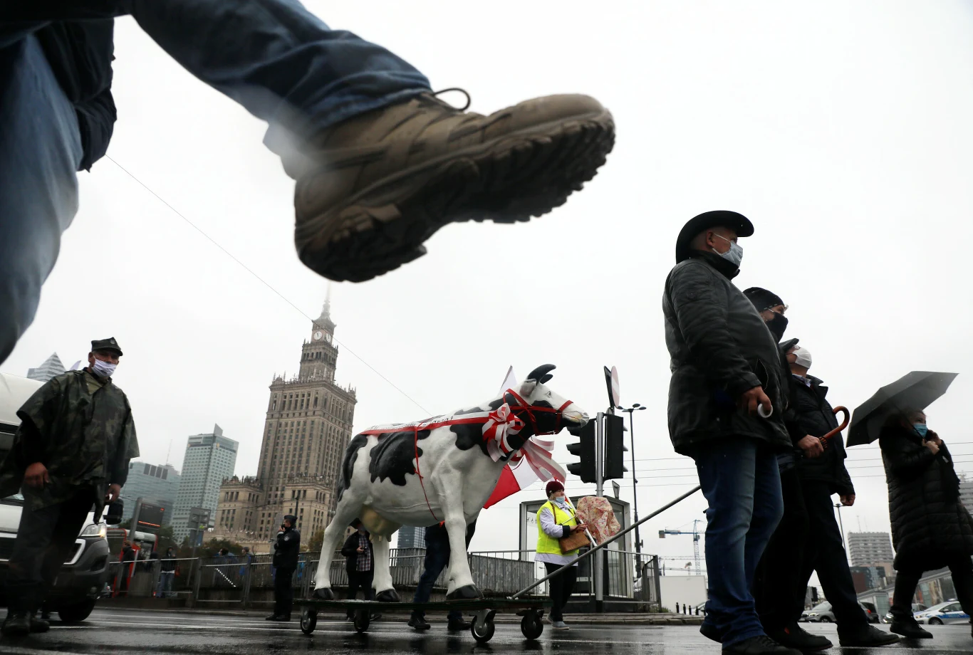 Warszawa, 13.10.2020. Protest rolników i hodowców w związku z procedowaną w Senacie ustawą o ochronie zwierząt