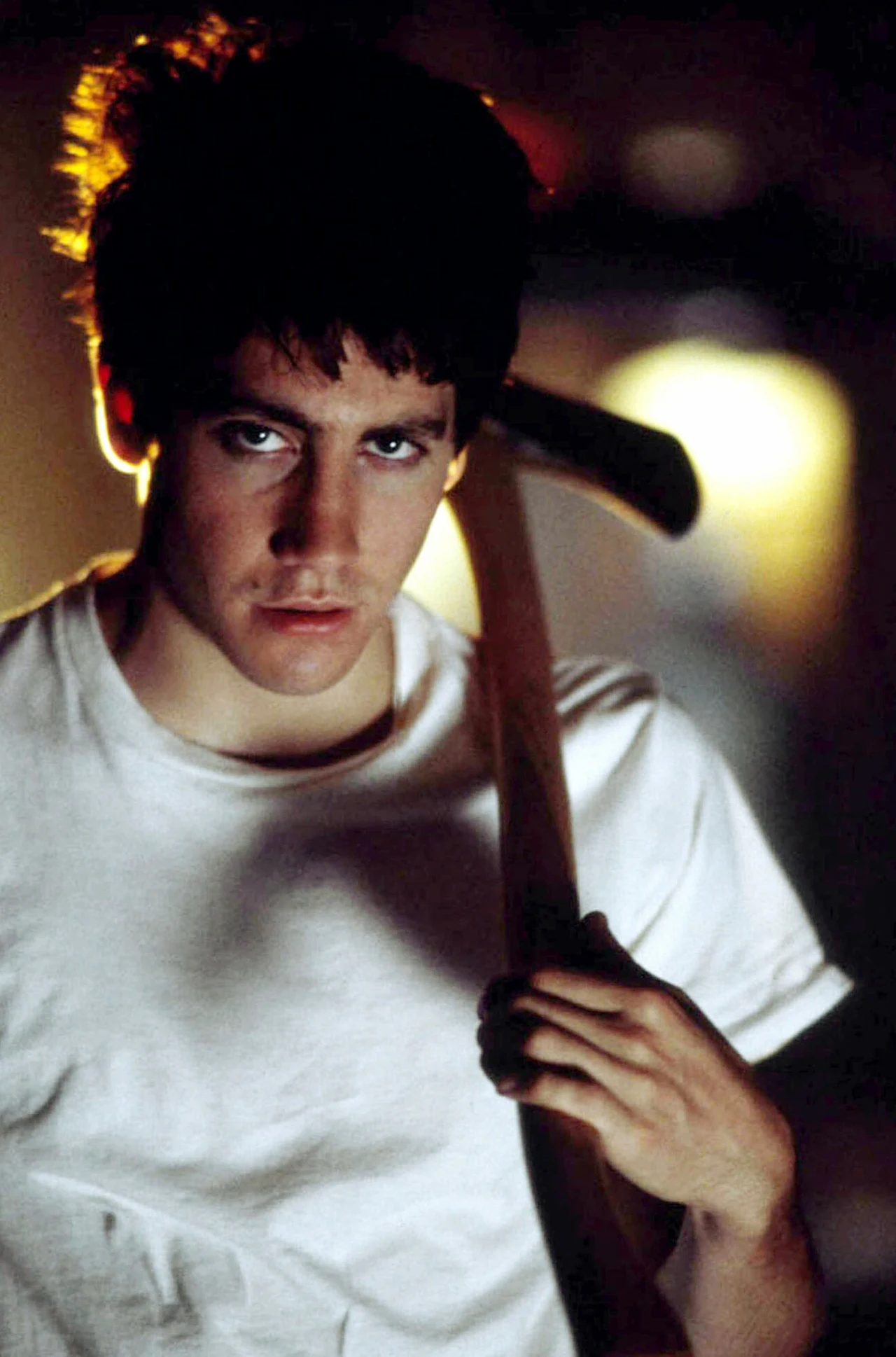 Jake Gyllenhaal pochodzi z wybitnie artystycznej rodziny. Jego matka - Noami Foner - jest scenarzystką. Ojciec Stephen Gyllenhaal jest dosyć znanym reżyserem, kręcącym głównie odcinki seriali telewizyjnych. Natomiast jego starsza siostra, Maggie, również trudni się aktorstwem; znana jest z takich filmów jak "Uczciwa kobieta" czy "Mroczny rycerz". Sam Jake zaczął swoją aktorską karierę już jako nastolatek ("Sułtani westernu", "Dosięgnąć kosmosu"), jednak prawdziwe sukcesy przyszły nieco później. 

Przepustką do wielkiej kariery był dla Gyllenhaala udział w filmie "Donnie Darko". Aktor wcielił się w nim w uzdolnionego, bardzo inteligentnego nastolatka z problemami psychicznymi.  