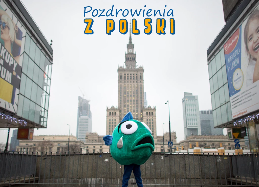 Fundacja Compassion Polska i współpracujący z nią eksperci są zgodni: ostatecznym rozwiązaniem problemu cierpienia żywych karpi byłby zakaz sprzedaży żywych ryb w Polsce