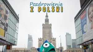 ​Pocztówki z Polski: Pluszowy karp przypomina o swoim smutnym losie
