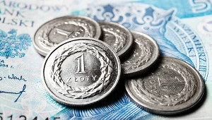 Kursy walut. Ile zapłacimy za dolara, euro i franka?