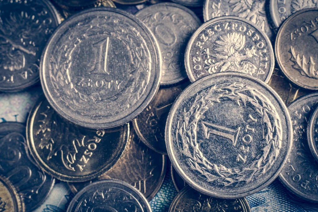 Rynek walutowy czeka na przyszłotygodniowe posiedzenie RPP. czy stopy procentowe zostaną obniżone? Zdj. ilustracyjne