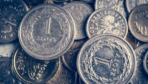 Kursy walut. Złoty nieco osłabł; rynek czeka na decyzję RPP