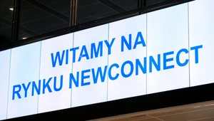 Kurs akcji Gamivo spadł w debiucie na NewConnect (zdj. ilustracyjne)