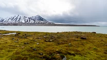 Nic dziwnego, że niewielka (ok. 2000 osób) społeczność zamieszkująca Svalbard (a konkretnie Spitzbergen, jedyną stale zasiedloną wyspę) jest mocno zróżnicowana. Poza Norwegami mieszkają tu ludzie  50 różnych narodowości: Tajowie, Szwedzi, Rosjanie, Duńczycy, Niemcy, Filipińczycy, Chorwaci, Chilijczycy… 