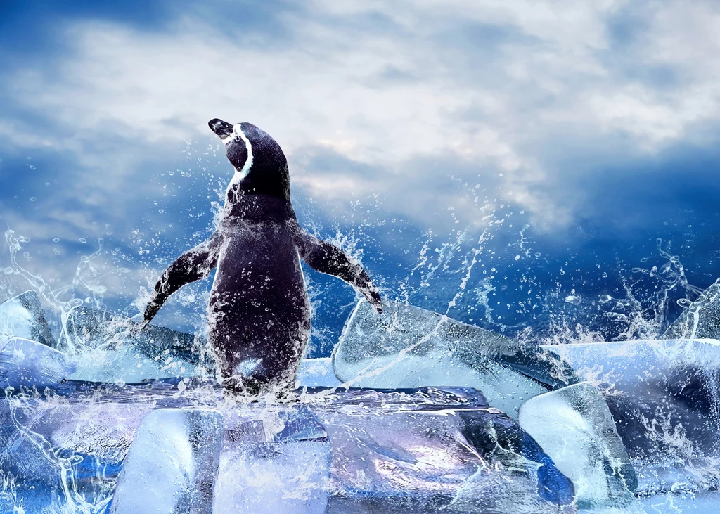 Istnieje wiele sposobów, by w zagrażających warunkach stworzyć pingwinom optymalne warunki rozwoju