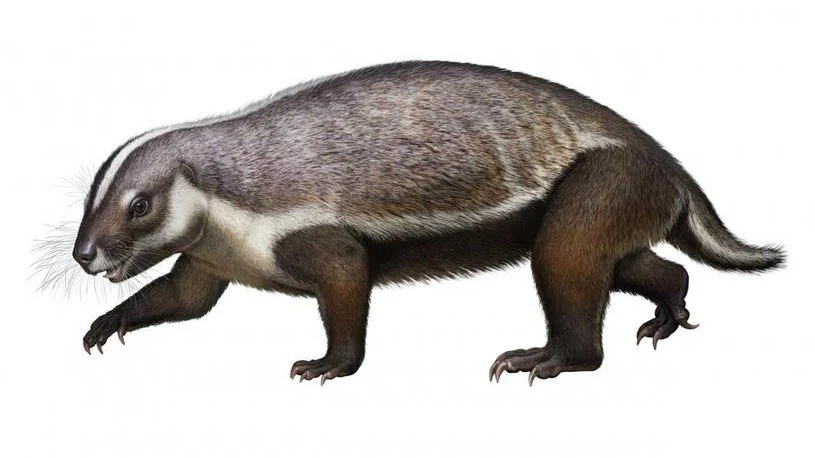 Adaltherium Adaltherium