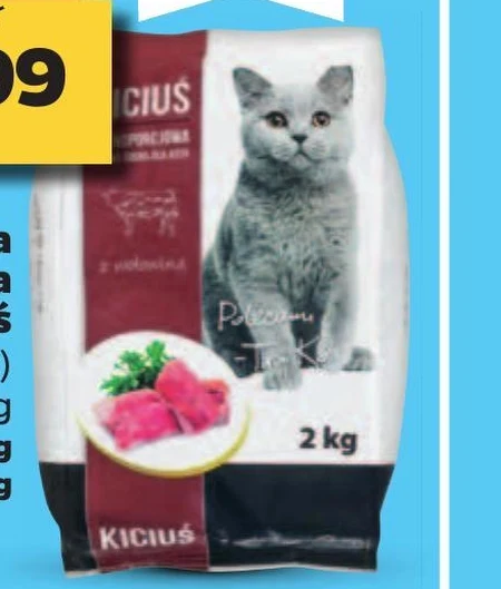 Karma dla kota Kiciuś