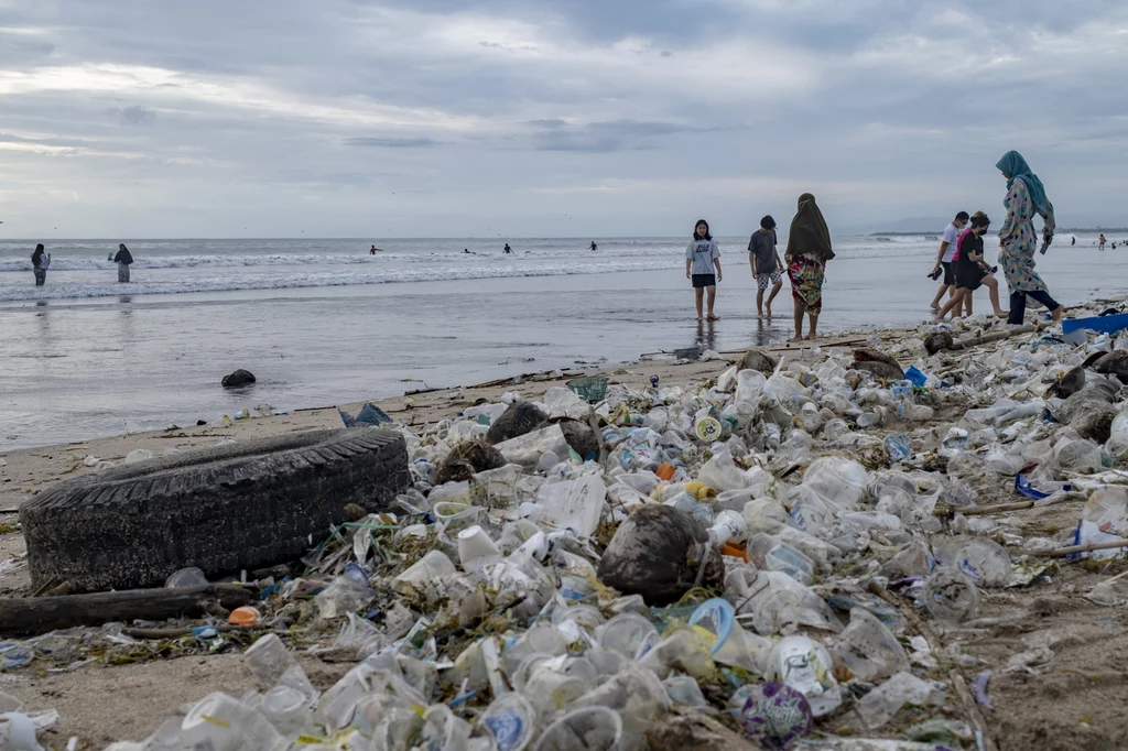 Także organizmy morskie cierpią z powodu ton plastiku zalegających na plażach i pływających w morzu. Także organizmy morskie cierpią z powodu ton plastiku zalegających na plażach i pływających w morzu.