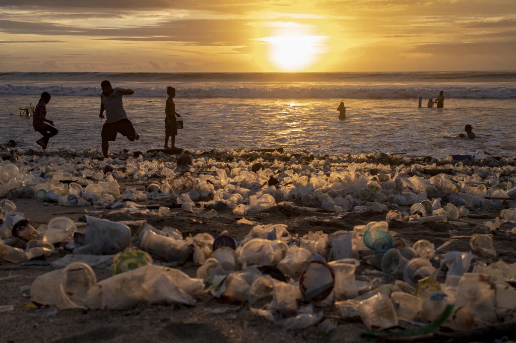 Już wkrótce turyści mogą zacząć omijać pokryte plastikowymi śmieciami plaże, wybierając inne kierunki. Już wkrótce turyści mogą zacząć omijać pokryte plastikowymi śmieciami plaże, wybierając inne kierunki.