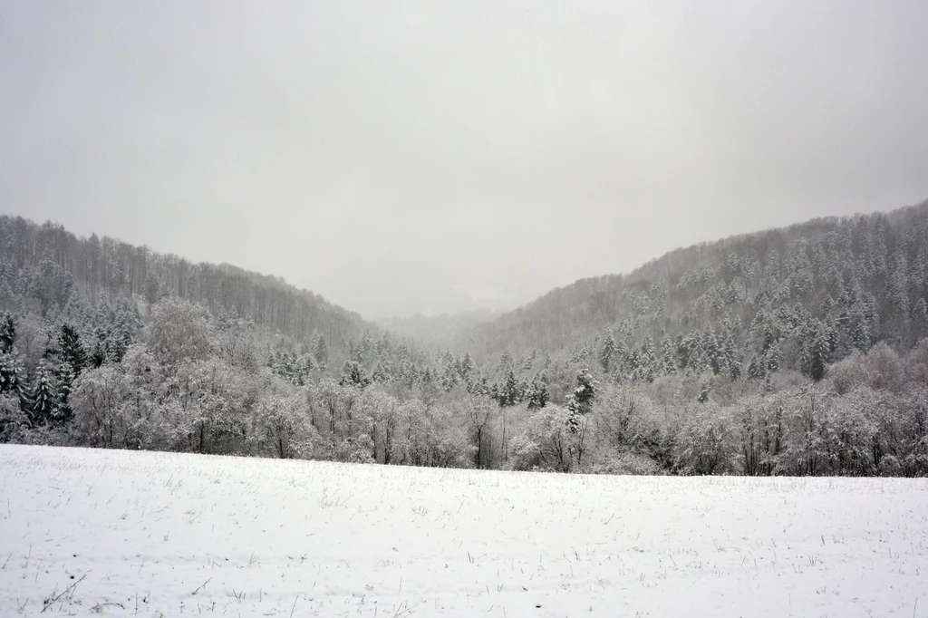 Śnieg w Bieszczadach Śnieg w Bieszczadach