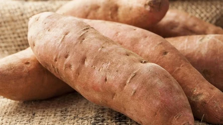 Bataty są też często nazywane "słodkimi ziemniakami"