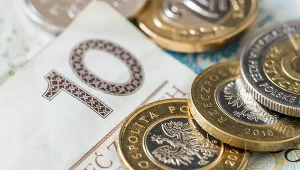 Euro mocniejsze, złoty nie dotrzymuje kroku. Eksperci wskazują ryzyka