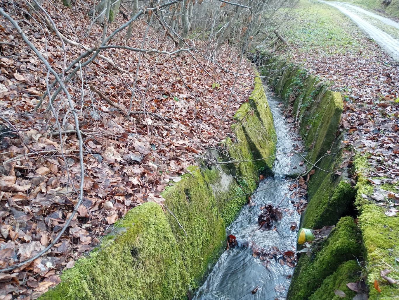 myPhone Now eSIM - zdjęcia wykonane telefonem