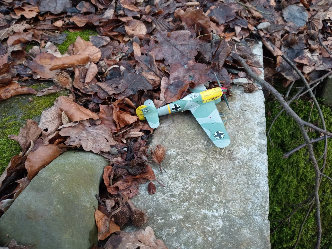 myPhone Now eSIM - zdjęcia wykonane telefonem